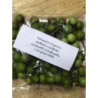 ราคา มะเขือพวงปลูกแบบอินทรีย์100%ตั้งแต่ดิน เลือกชมสินค้าเกษตรมีหลายชนิด (4679503045)