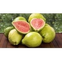 ราคา เมล็ดพันธุ์ฝรั่งขี้นกไส้แดง 150 เมล็ด ฝรั่งไส้แดงไทย (3718002270)