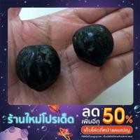 ราคา ลูกกัลปังหาลูกกัลปังหาดำ (21805342990)
