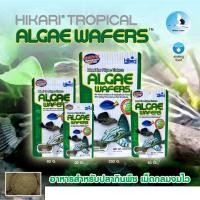 ราคา Hikari ALGAE WAFERS 20g./40g./82g. Tropical ฮิคาริ ทรอปิคอล แอลเก้ เวเฟอร์ อาหารปลากินตะไคร่ (7197227471)