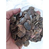 ราคา เมล็ดพันธุ์ พยุงไหหลำ 500 ม. 600 บาท. เมล็ดนำเข้าเดือน พ.ย 63 (4763242715)