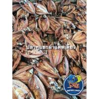 ราคา ปลาทูแขกผ่าแดดเดียว ตัวใหญ่ เนื้อเยอะ ปลอดสาร ไม่เค็ม (ฮาลาล) (25727296730)