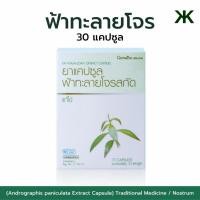 ราคา ยาแคปซูลฟ้าทะลายโจรสกัด (24820019317)