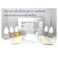 ราคา ชุดอาหารเพาะเลี้ยงเนื้อเยื่อกึ่งสำเร็จรูป (ขนาดทดลอง) (5361106075)