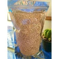 ราคา สินค้าพร้อมส่ง❗️แป้งสาคูต้น สาคูพัทลุงแท้100% #ของดีพัทลุง ขนาด 500 กรัม (3151096448)