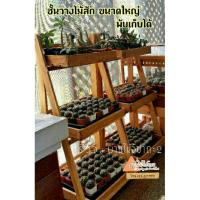 ราคา ชั้นวางของไม้สักขนาดใหญ่ (L) 3 ชั้น พับได้ งานไม้ดิบ (การสั่งซื้อ 1ชิ้น / 1 ออเดอร์) (2010449577)