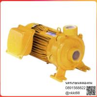 ราคา WCM-1505T ไฟ 380V ปั๊มไฟฟ้า มิตซูบิชิ นิ้ว 2 แรงม้า mitsubishi ปั๊มน้ำ ปั๊มน้ำหอยโข่ง ปั๊มน้ำมอเตอร์ (4371425938)