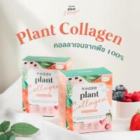 ราคา Freddie Plant Collagen คอลลาเจนจากพืช 100% (12104460168)