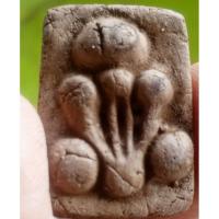 ราคา พระปิดตาผงกระดูกผี108 ป่าช้าอ.หนู วัดโพธิ์ท่าเตียน พระผงกระดูกผีที่โด่งอัฐิ (44155472480)