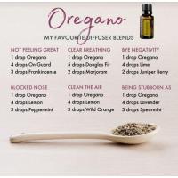 ราคา น้ำมัน Oregano (ออริกาโน่) ขนาด 15 ml. (28909825166)