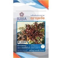 ราคา เมล็ดผักกาดหอมเรดสลัดโบว์ (28381041329)