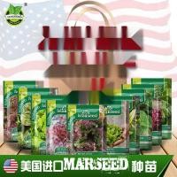 ราคา 【คอลเลกชันผักกาดหอม】เมล็ดผักกาดหอมสีม่วงขนาดใหญ่ที่เติบโตเร็วและนุ่มนำเข้าสำหรับการปลูกในระเบียง (27228308179)