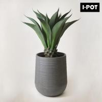 ราคา I-POT กระถางไฟเบอร์เคลย์ รุ่น ปาล์มลายริ้ว ขนาด ก.47 ย.53 ส.63 ซม.(18นิ้ว) (16625115899)