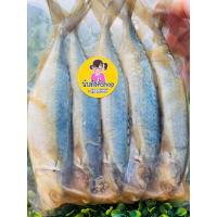 ราคา ปลาทูมันจืด ปลาทู ปลาทูมัน ปลาทูมันทอด ปลาทูหอม ปลาทูราคาถูก ปลาทูมันขายส่ง ปลาทูแดดเดียว 400กรัม (แพ็คซีลเก็บกลิ่น) (7048929351)