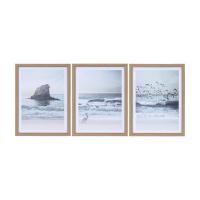 ราคา INDEX LIVING MALL รูปภาพพร้อมกรอบ รุ่นซีบีน่า (3 ชิ้น/ชุด) - คละสี (25942737121)