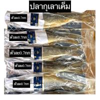 ราคา #ปลากุเลาเค็ม ตัวละ 0.7กก ราชาปลาเค็ม #กุเลาเค็ม (13357849594)