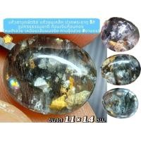 ราคา โป่งข่าม สามกษัตริย์ แก้วขนเหล็ก ปวกพระธาตุ 5สีรูปทรงธรรมชาติ เงินทอง ไหมดำสวย เหมือนเส้นผม กาบรุ้งสวย #งานแรร์ (27554504176)