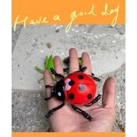 ราคา แมลงคละแบบ (มีหลายแบบ) แมลงยางคละแบบ สัตว์ยางคละแบบ ของเล่นเด็ก (13695064637)