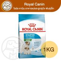 ราคา Royal Canin โรยัลคานิน อาหารสุนัข สูตร Mini Starter M&B 1Kg (41450812392)