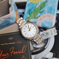 ราคา Fossil Adalyn Three-Hand Two-Tone Stainless Steel Watch (27822269122)