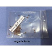 ราคา เมล็ดพันธุ์ต้นฟ้าทะลายโจร พืชสมุนไพร ฟ้าทลายโจร ปราศจากสารเคมี organic (6320329089)