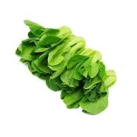 ราคา ผักเบบี้กวางตุ้งไต้หวัน 1 กก./แพ็ค (25646233429)