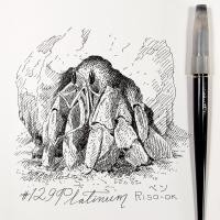 ราคา #129 Platinum Riso-OK Fountain Pen : ปากกาหมึกซึม Platinum Riso-OK (8562824211)
