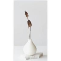 ราคา ดอกไม้แห้งจากธรรมชาติ1ชุด 10/20ชิ้น (29592605833)