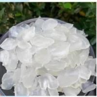 ราคา ลูกชิดอบแห้ง หวานน้อยอร่อยแบบธรรมชาติ (พร้อมทาน) (น้ำหนัก 500 กรัม) (43761261634)