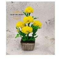 ราคา ดอกดาวเรืองกระถางเดี่ยวสูง​7นิ้ว (13310189009)