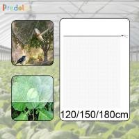 ราคา [Predolo] ฝาครอบพืชตาข่ายป้องกันสําหรับสวน, การ์ดพืช, กรงสุทธิ, ป้องกันการวาง, วัสดุ PP ทนทาน, ประกอบง่าย, เหมาะสําหรับโถ (53703498906)