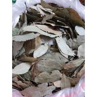 ราคา ใบกระวาน 香叶 พร้อมส่ง ขนาด 1กิโล/500กรัม/100กร้ัม (21388496065)