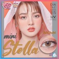 ราคา คอนแทคเลนส์ รุ่น Mini Stella สีเทา/ตาล Gray/Brown มีค่าสายตาปกติ (0.00)เปลี่ยนแทนทุกเดือน (20585310488)