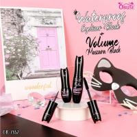 ราคา Obuse Mascara&Eyeliner มาสคาร่า เเละอายไลเนอร์ (OB-1352) (53753515758)