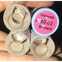 ราคา คอนแทคเลนส์ Sweety (Usamanee)มี2ขนาด (2599043202)