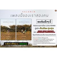 ราคา (NED) Solanin เพลงนี้ของเราสองคน เล่ม 1+2 แพคชุด (25782260397)