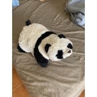 ราคา หมอนตุ๊กตา แพนด้า Pillow pets (8559384667)