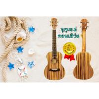 ราคา อูคูเลเล่ คอนเสิร์ต กีตาร์ กีตาร์ฮาวาย ไม้ซีบร้า Ukulele Concert Zebra (2752387566)