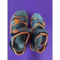 ราคา Schollรองเท้าแตะรัดส้น (18644638654)