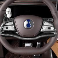 ราคา BYD Denza D9 2024 สติ๊กเกอร์ภายในรถยนต์ อุปกรณ์ตกแต่งรถยนต์ Para Auto Tools สติ๊กเกอร์ติดรถ (43752898756)