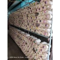 ราคา ก้อนเชื้อเห็ด นางฟ้าภูฐาน (29476172723)