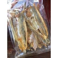 ราคา ปลาจิ๊กโก๋ ปลาช่อนทะเล (806094592)