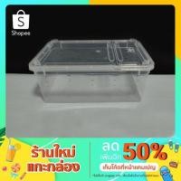 ราคา กล่องพลาสติก ขนาดไซส์เล็ก กล่องเลี้ยงงู กล่องเลี้ยงสัตว์เลื้อยคลาน งู กบ เต่า ตุ๊กแก (8278723491)