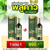ราคา พลูคาวแม่บุญล้ำ[แท้บริษัทโปร1แถม1] เครื่องดื่มสมุนไพร ภูมิตก เซลล์บกพร่อง เสริมภูมิคุ้มกัน (43961833366)