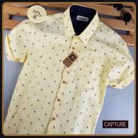 ราคา เสื้อเชิ้ตแขนสั้น คอปก ผ้า Oxford ลายเครื่องบิน สีเหลือง มีไซส์ S-4XL (7161241306)
