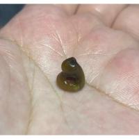 ราคา ปลายเขี้ยวเสือโคร่งแกะสาริกา หลวงพ่อปานวัดบางเหี้ย เก่าๆเดิมๆ (28416359465)