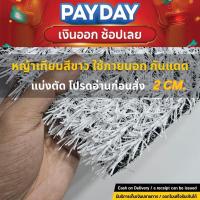 ราคา [แบ่งตัด] 2cm หญ้าเทียมสีขาว จัดงาน แต่งร้าน คาเฟ่ จัดอีเว้นต์ กันUV ฉีดน้ำล้างง่าย 2ซม (25981372747)