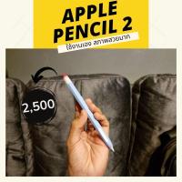 ราคา Pencil 2 ของแท้ มือสองใช้งานเอง ใช้ไปไม่กี่ครั้ง ไม่มีกล่องครับ (21473444978)