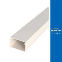 ราคา ELECKTA รางไวร์เวย์ PVC 4080x2 ม. สีขาว (24969624861)