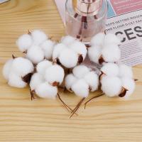 ราคา christmas gift gift set ของขวัญ ผ้าฝ้ายผ้าฝ้ายแห้งช่อดอกไม้ผ้าฝ้ายจําลองดอกไม้แห้งทําเองผ้าฝ้ายซินเจียงช่อคริสต์มาสจําลองหัวผ้าฝ้าย (40876682212)